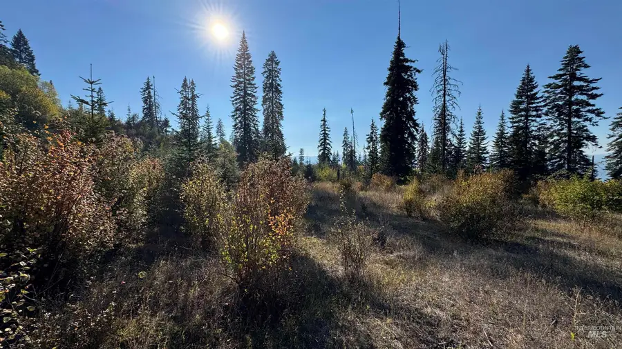 TBD White Pine Dr, Orofino, ID 83544 - Image #3