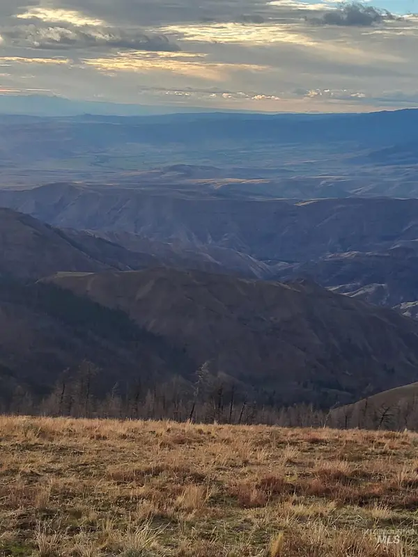 00 Cuddy Mountain Mineral Land, Cambridge, ID 83610