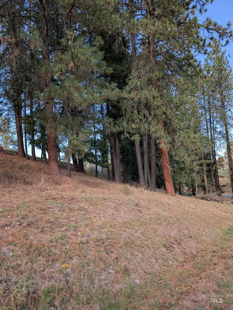 784 Leitch Creek Road, Kooskia, ID 83539 - Image #2