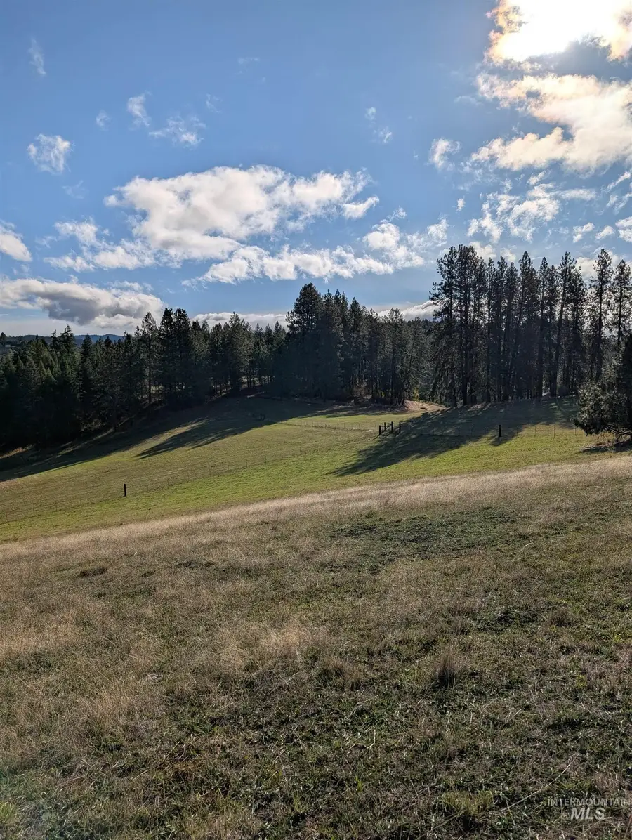 784 Leitch Creek Road, Kooskia, ID 83539 - Image #3