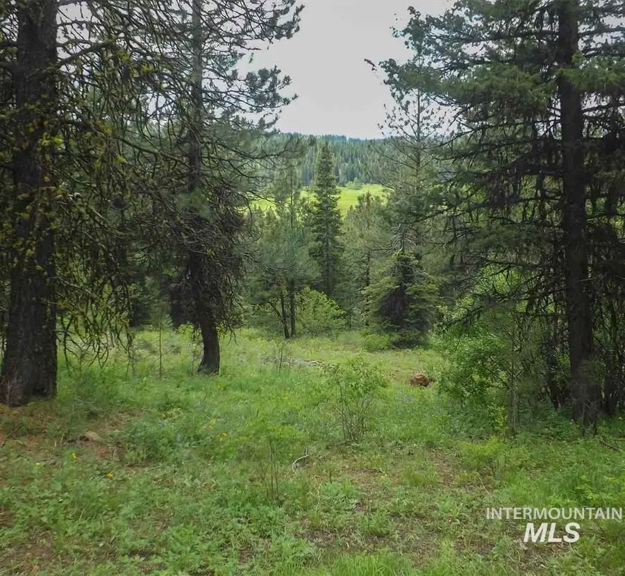 TBD Whitefield Lane, McCall, ID 83638 - Image #3