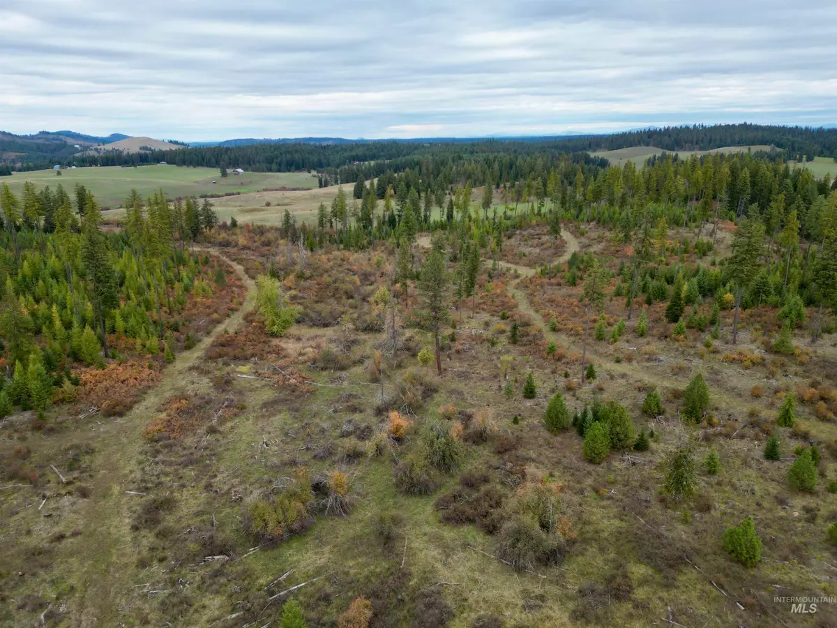 TBD Parcel 3 Peaceful Valley Rd., Kamiah, ID 83536 - Image #1