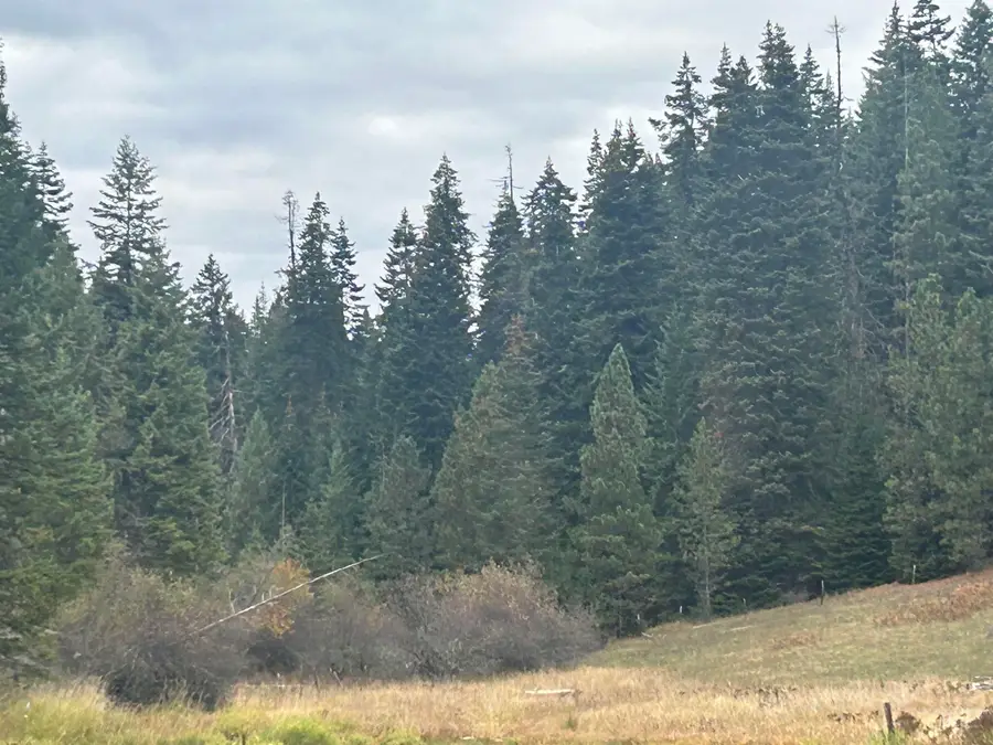 TBD LOT 1 Glenwood Road, Kamiah, ID 83536 - Image #2