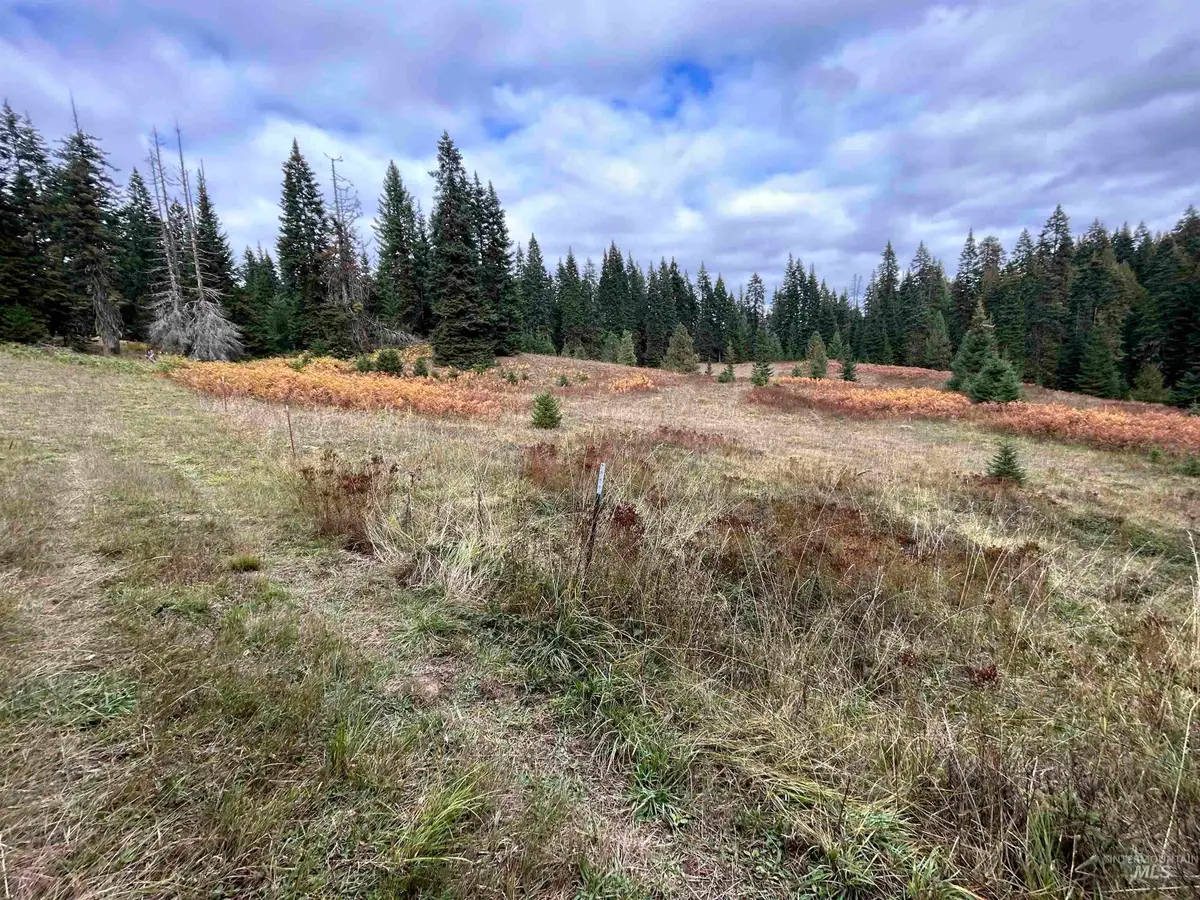 TBD LOT 3 Glenwood Road, Kamiah, ID 83536 - Image #1