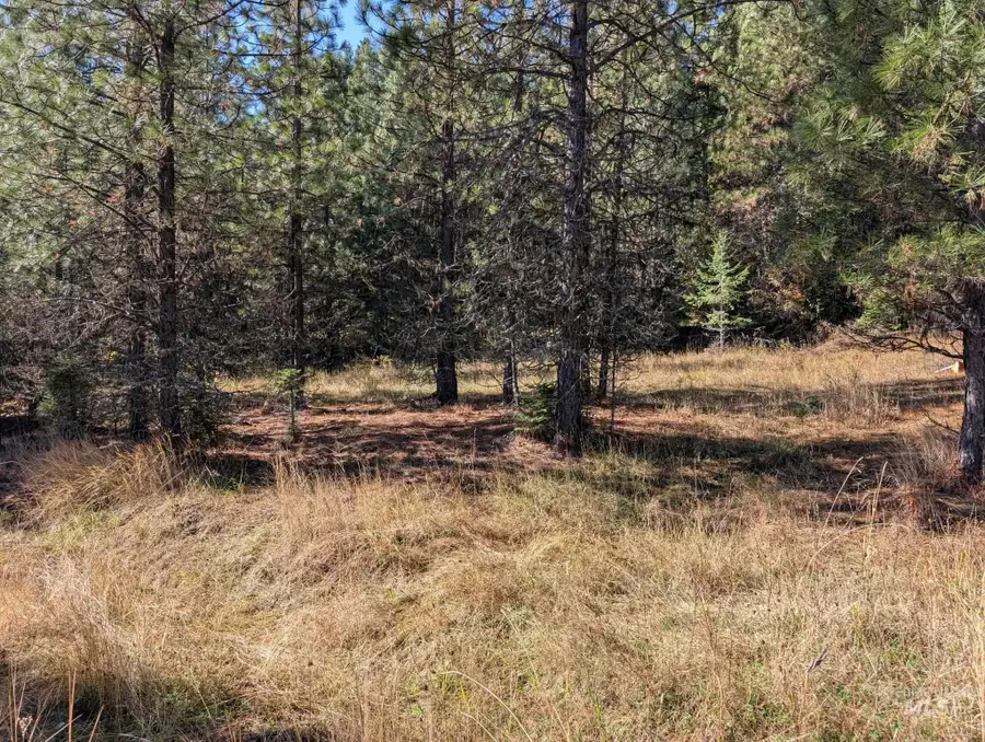 000 Bear Lane, Kooskia, ID 83539 - Image #2