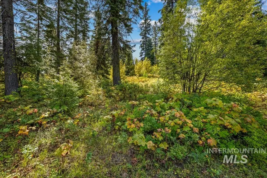 77 Tripod Court, Donnelly, ID 83615 - Image #3