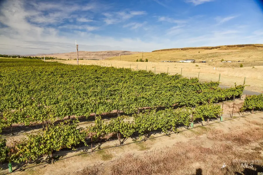 73809 Rattlesnake Road, Arlington, OR 97812 - Image #2