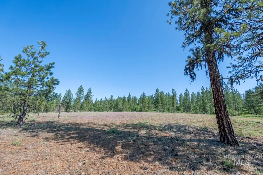 TBD1 Us-95, New Meadows, ID 83654 - Image #3