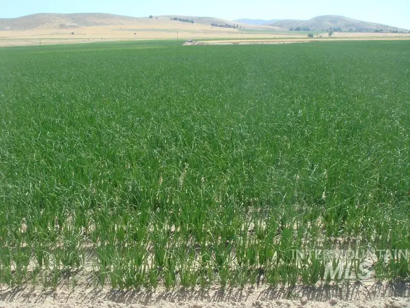 TBD Indian Head Rd., Weiser, ID 83672 - Image #3