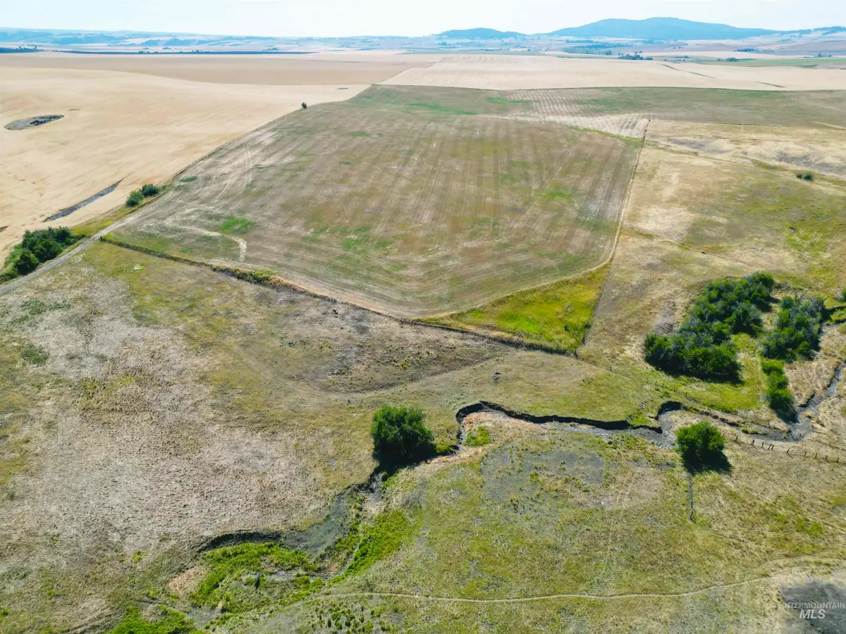 TBD Wasem Road Lot 5, Cottonwood, ID 83522 - #1