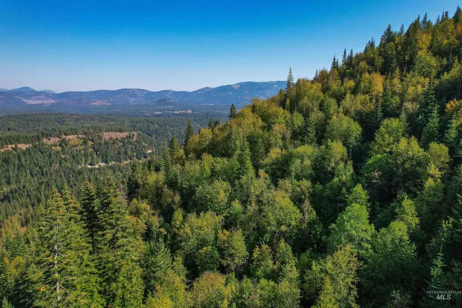 NKA Bodie Canyon Dr., Priest River, ID 83856 - Image #3