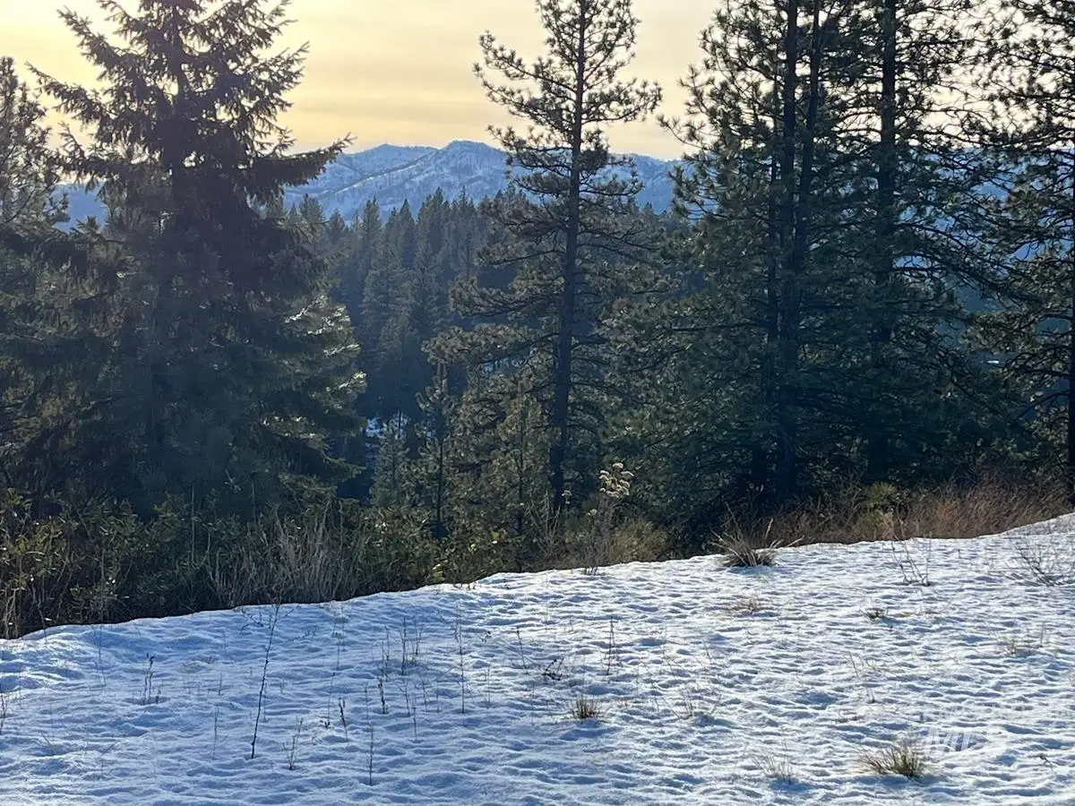 11 Augustus Way, Cascade, ID 83611 - Image #1