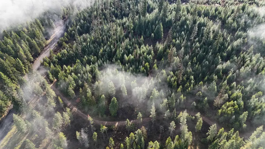 TBD Johnston Mill Road Parcel 3, Orofino, ID 83544 - Image #2