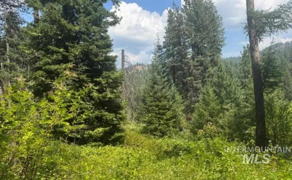 TBD Tbd, Council, ID 83612 - Image #1