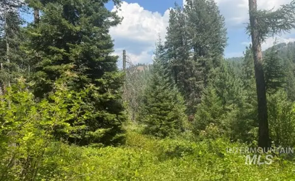 TBD Tbd, Council, ID 83612