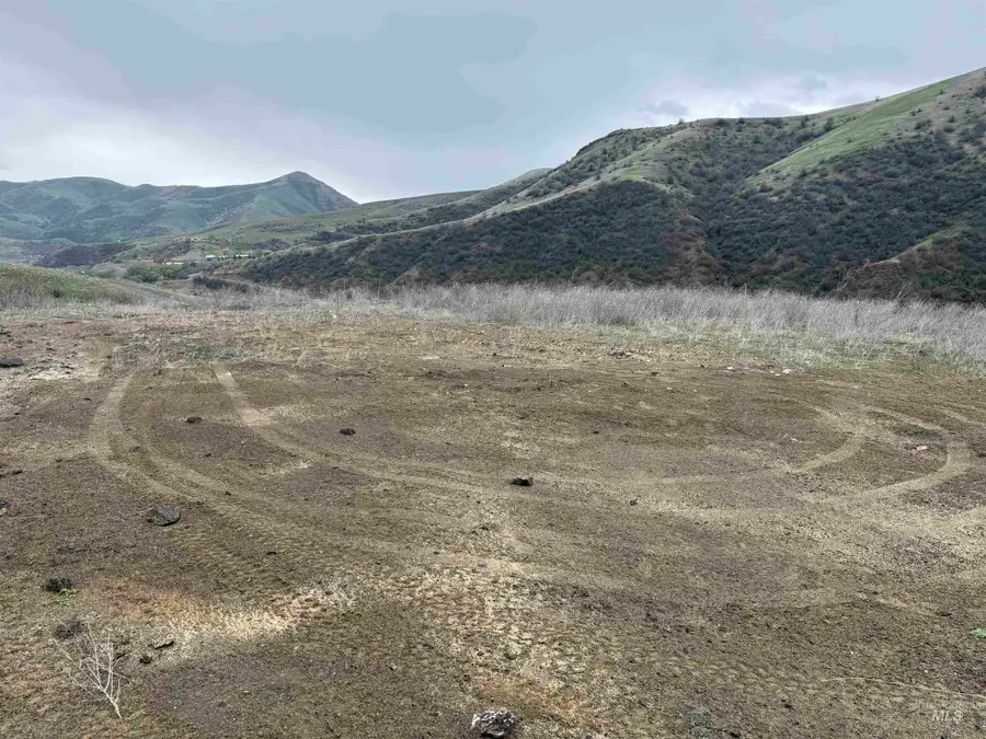 0 White Bird, White Bird, ID 83554 - Image #3