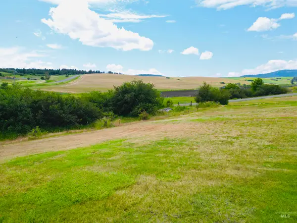 809 Trestle Drive, CottonWood, ID 83522