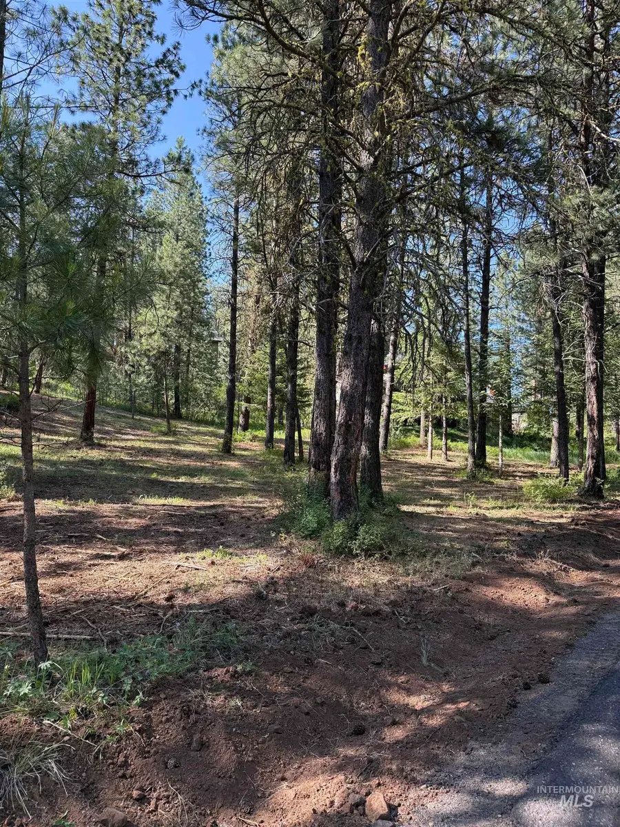 Lot 13 Lewis Dr, New Meadows, ID 83651 - Image #3