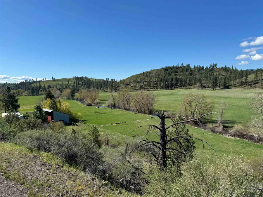 2671 W Fork Road, Council, ID 83612 - Image #2