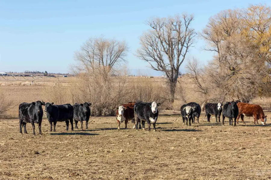 1898 E 3700 N, Filer, ID 83328 - #3