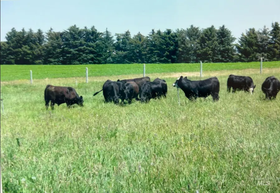 100 North 675 West, Paul, ID 83347 - #3