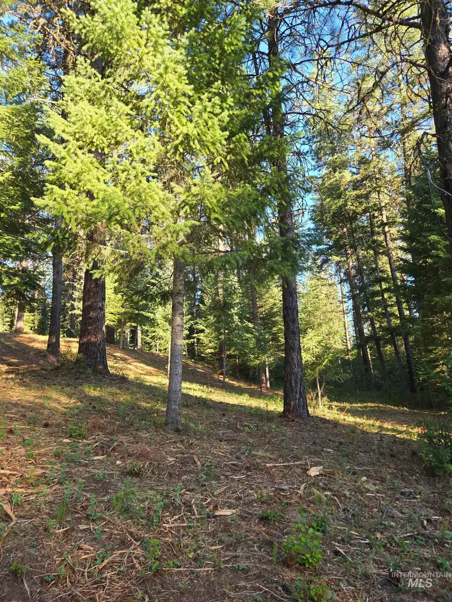 TBD Sorrel, New Meadows, ID 83654 - #2