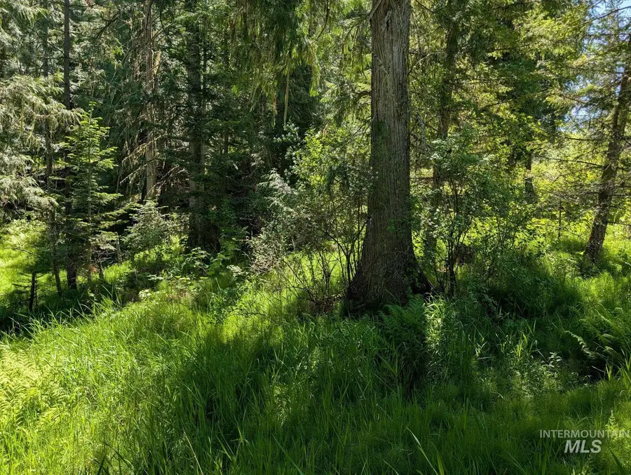 Parcel C Corner Stone Road, Kamiah, ID 83536 - #2