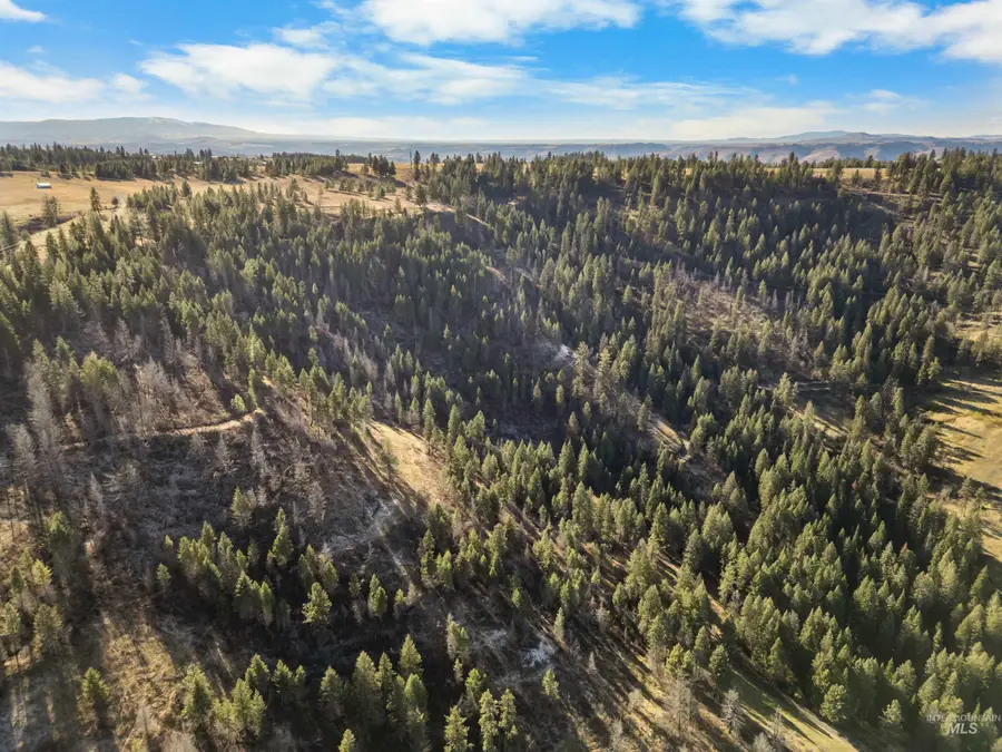 216 Ulmer Road, Kooskia, ID 83539 - #3