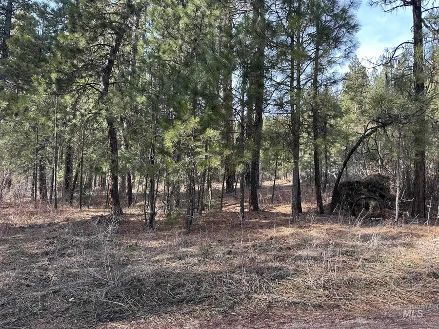 TBD Cloudy Ln, Garden Valley, ID 83622 - #3