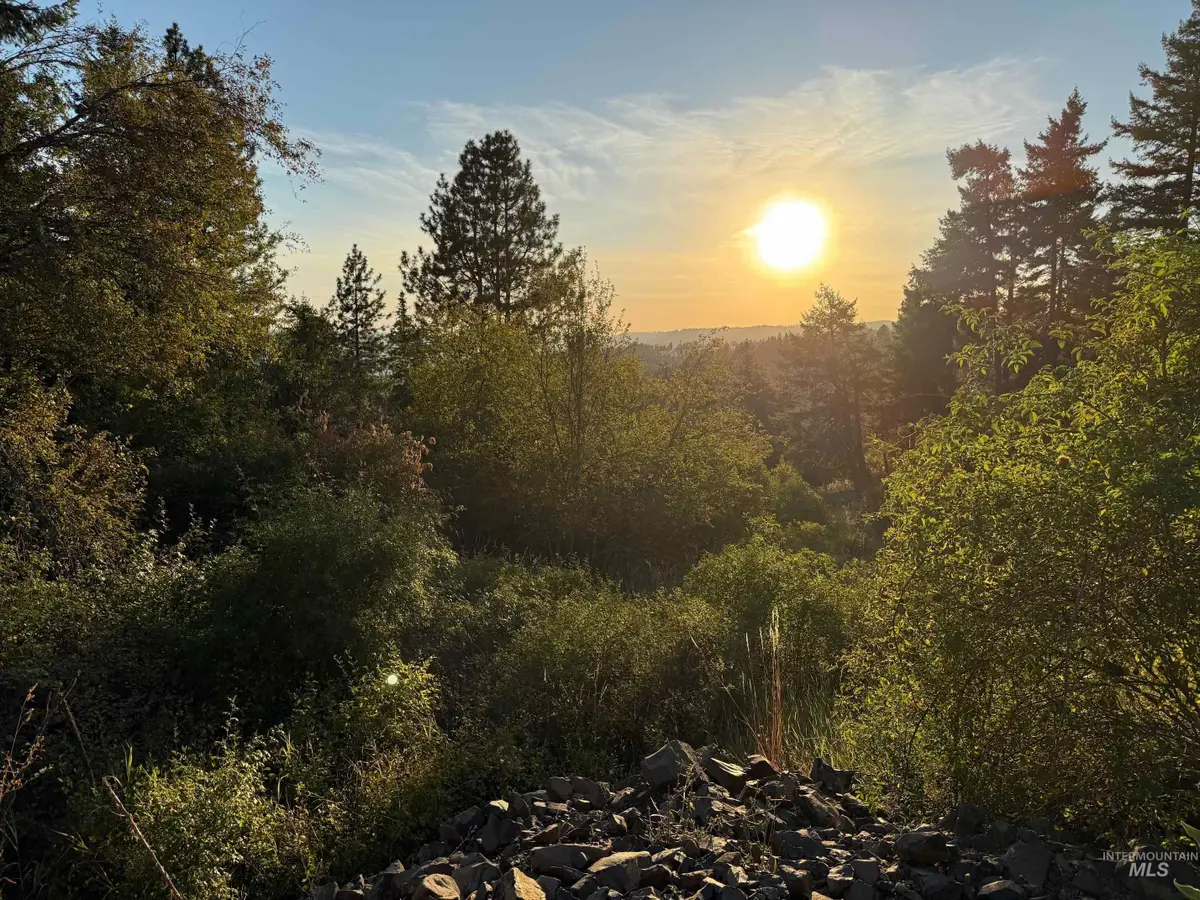 993 Norton Knob Ln, Orofino, ID 83544 - #1