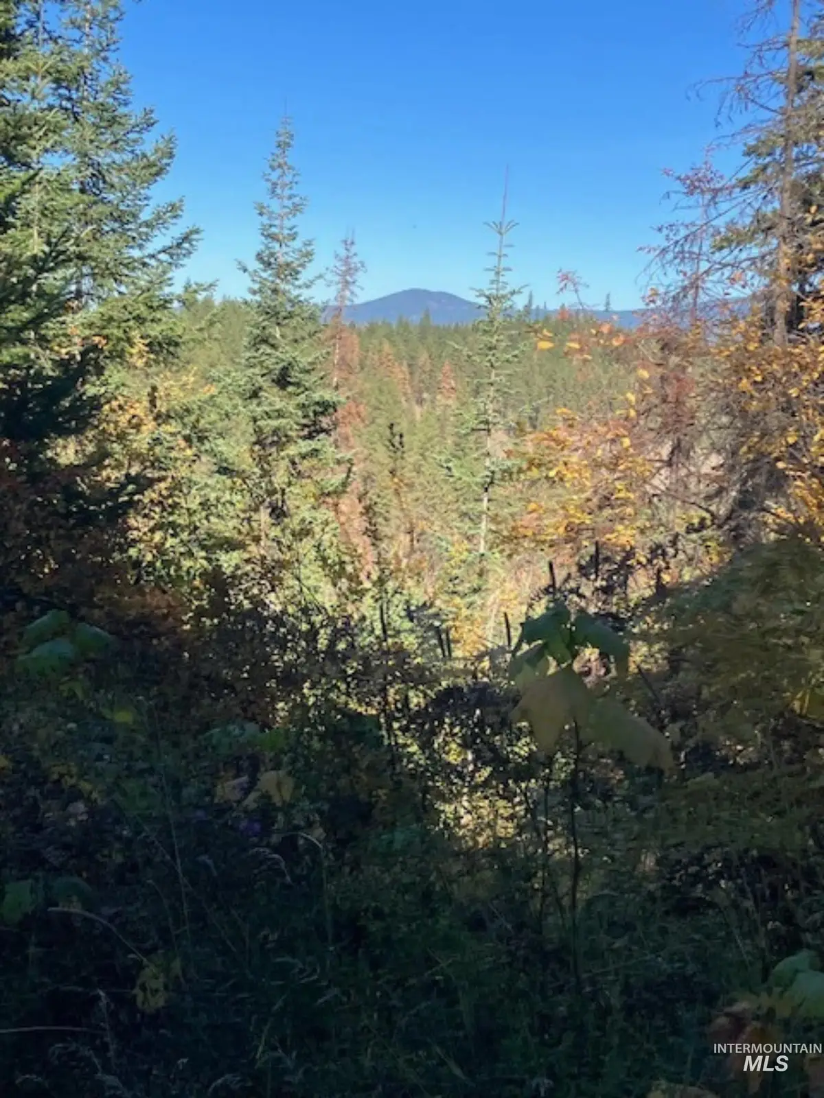 TBD Glacier Drive, Saint Maries, ID 83861 - #1