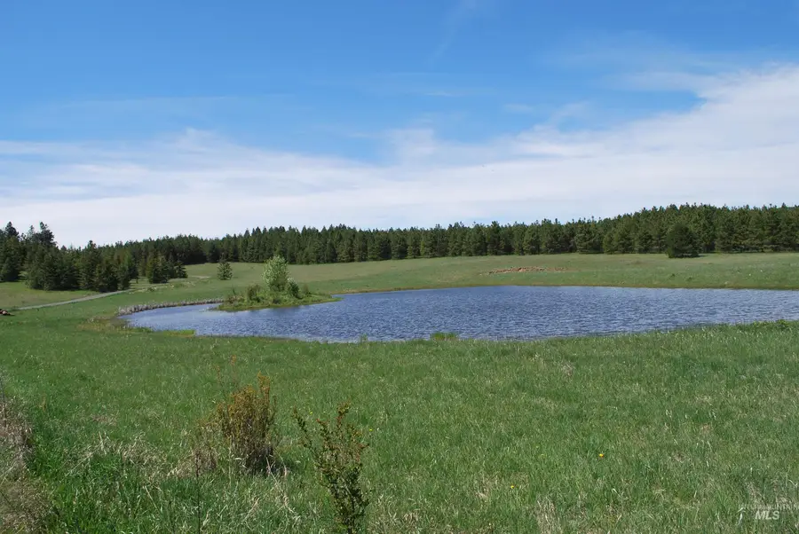 TBD Middle Road, Lenore, ID 83541 - #2