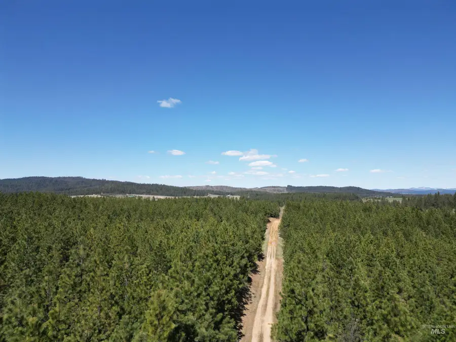 TBD Middle Road, Lenore, ID 83541 - #3