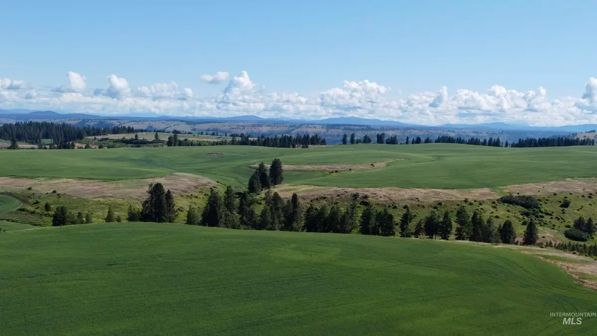 TBD Basket Rd Parcel 2, Nezperce, ID 83543 - #1