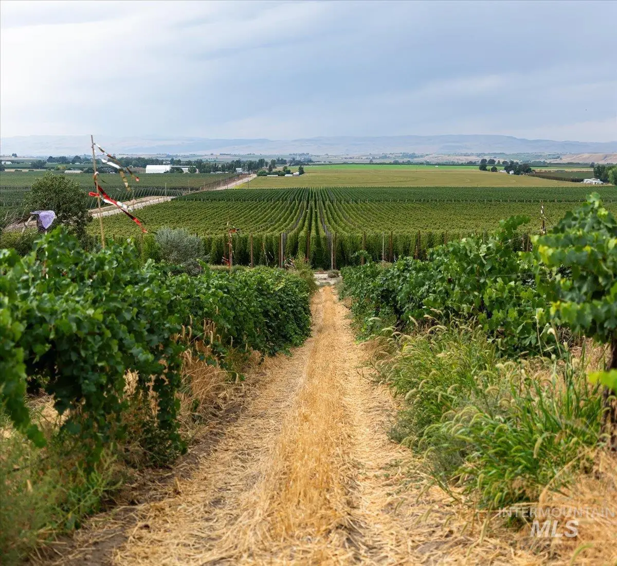 24013 Arena Valley Rd., Parma, ID 83660 - #1