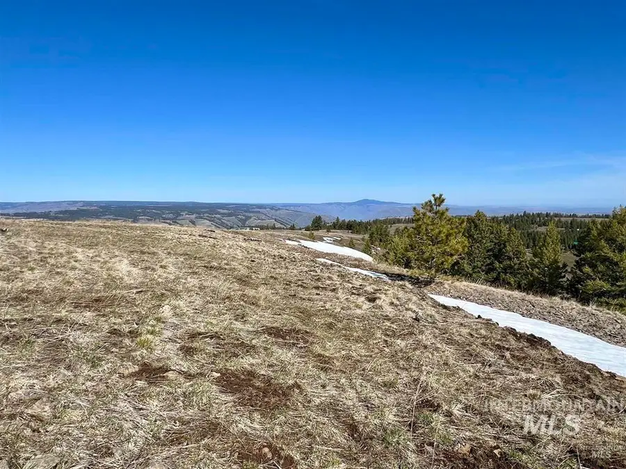 TBD Pilgrim Ridge Road Lot 36, White Bird, ID 83554 - #3
