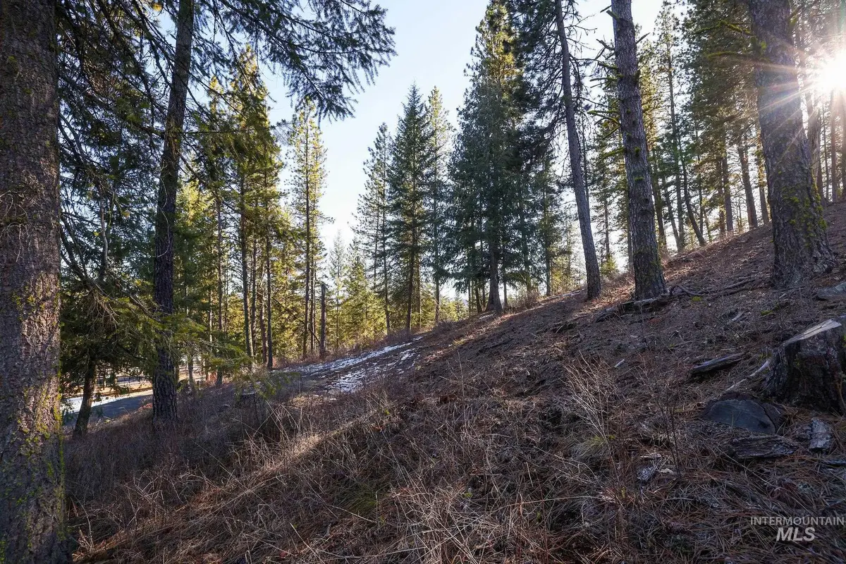 Lot 7 Camas Dr, New Meadows, ID 83654 - #1