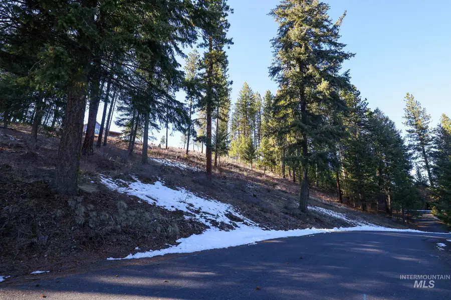 Lot 7 Camas Dr, New Meadows, ID 83654 - #3