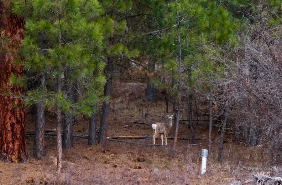 Lot 2 Card Creek, Casey Estates#3, Garden Valley, ID 83622 - #3