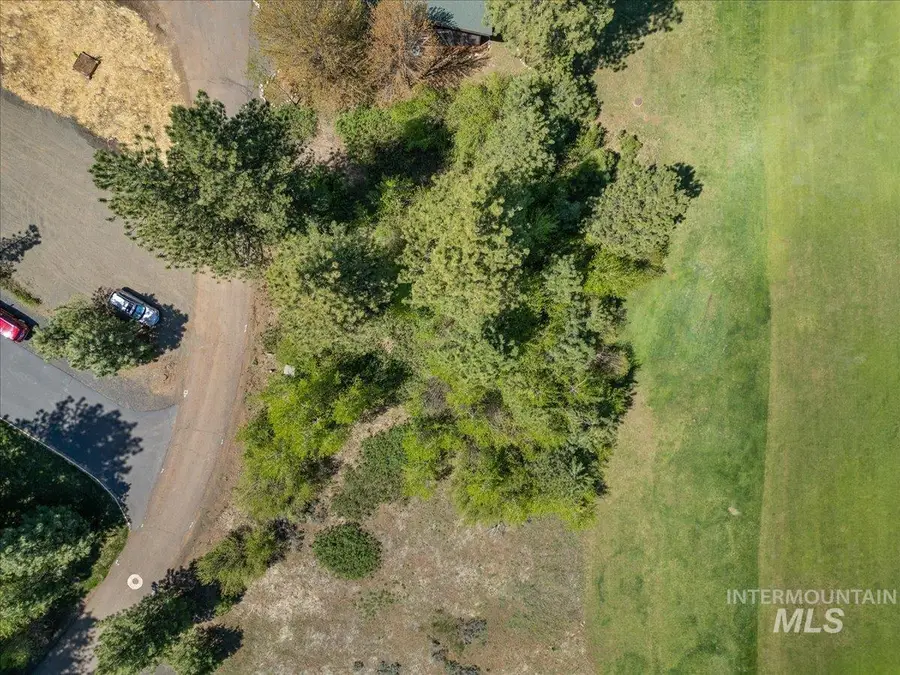 L5 Ponderosa Court, New Meadows, ID 83654 - #2