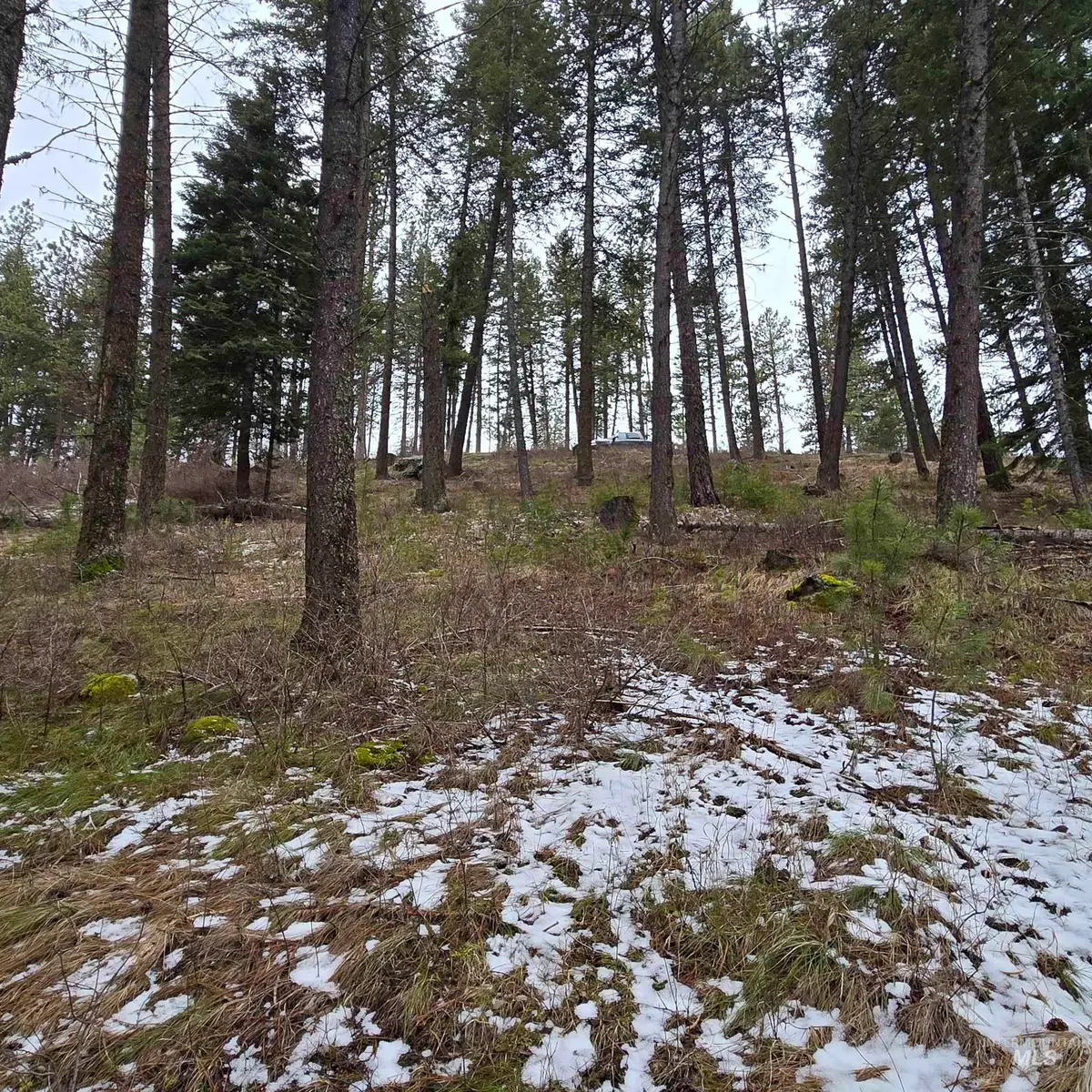TBD Granite View Rd, New Meadows, ID 83654 - #1