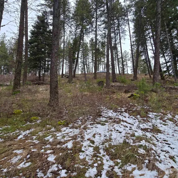 TBD Granite View Rd, New Meadows, ID 83654