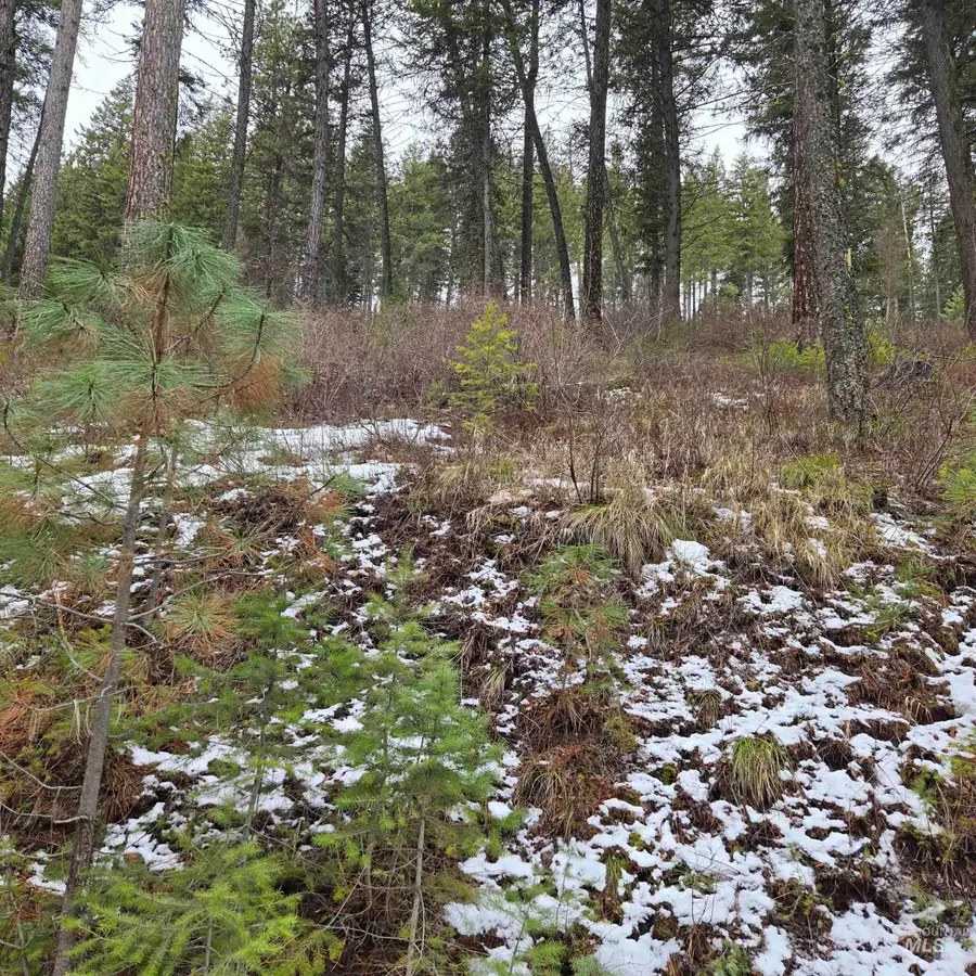 TBD Granite View Rd, New Meadows, ID 83654 - #3