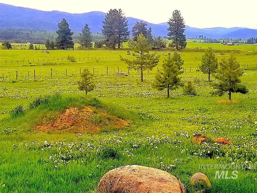 1217 Elo Road, McCall, ID 83638 - #2