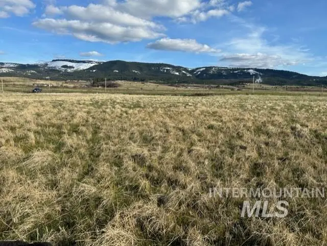 TBD Parcel 2B Whitetail Dr, Grangeville, ID 83530 - #1