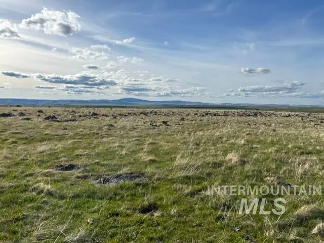 TBD Parcel 2A Whitetail Dr, Grangeville, ID 83530 - #3