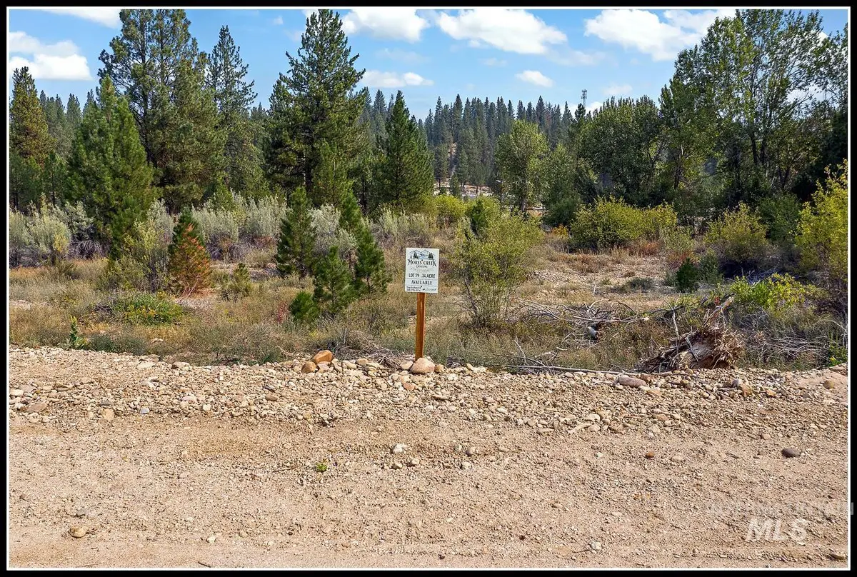 Lot 79 Lainey Lane, Idaho City, ID 83631 - #1