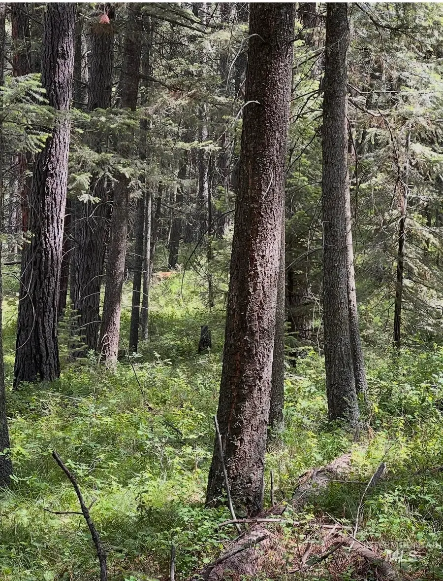 TBD Sandhill Rd, Winchester, ID 83555 - #3