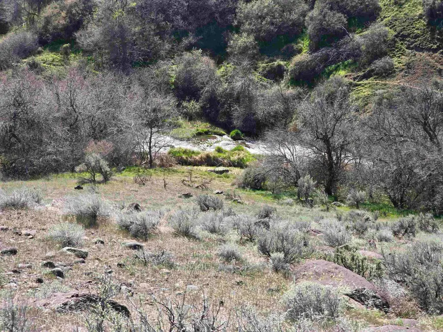 1253 Kanaka Rapids Road, Buhl, ID 83316 - #3