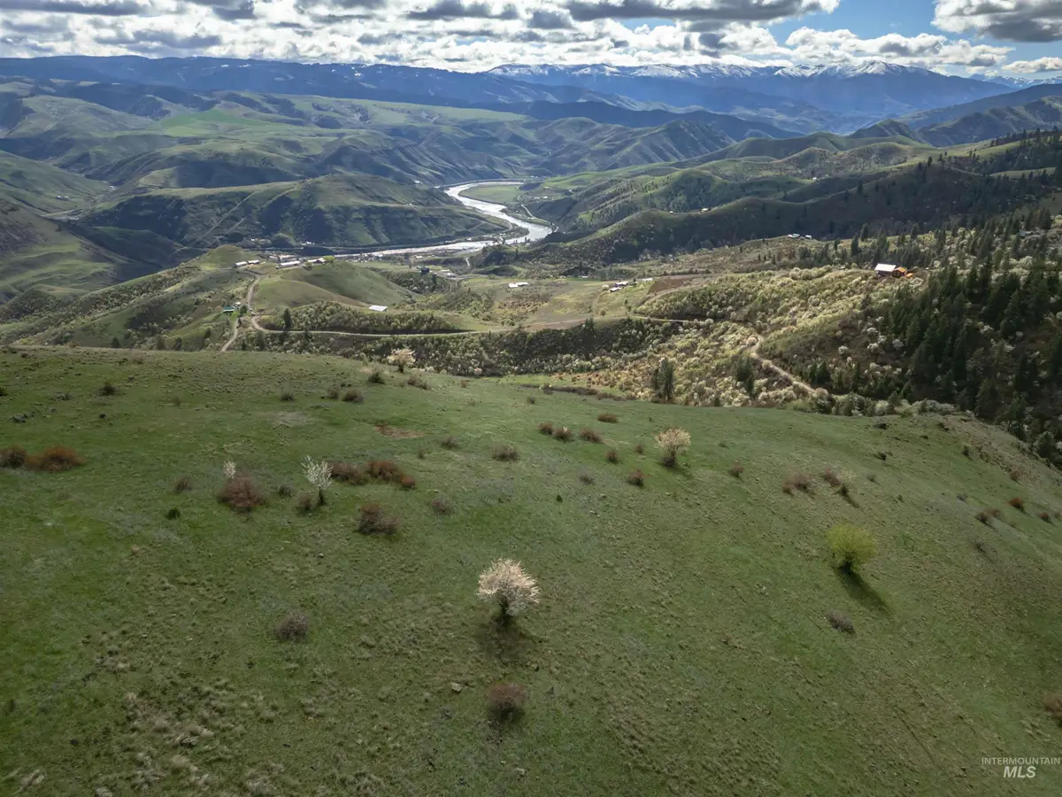 TBD Blue Grouse Road, White Bird, ID 83554 - #1